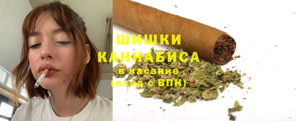 spice Аркадак