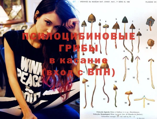 apvp Арсеньев