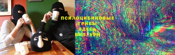 spice Аркадак