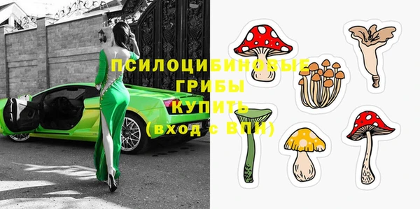 spice Аркадак